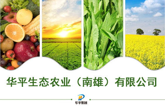 永旺彩票生态农业（南雄）有限公司2.jpg